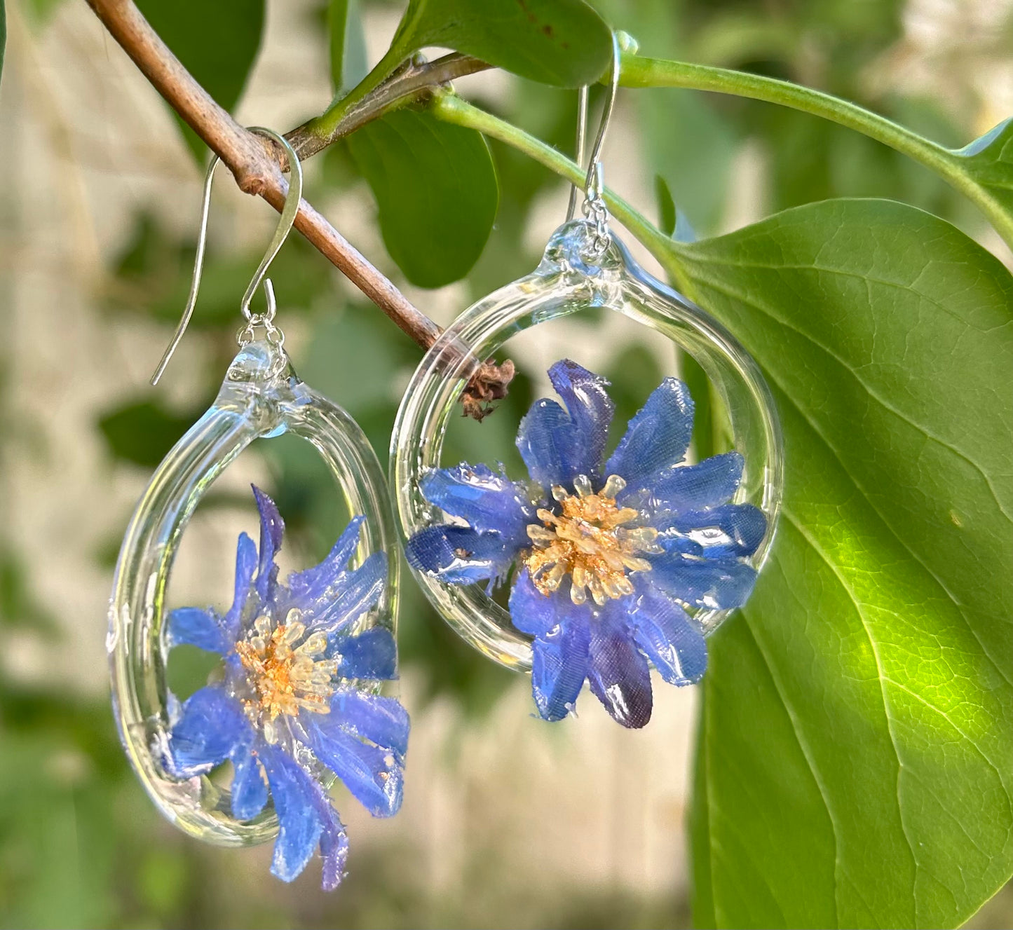 Chica Glass Hoops